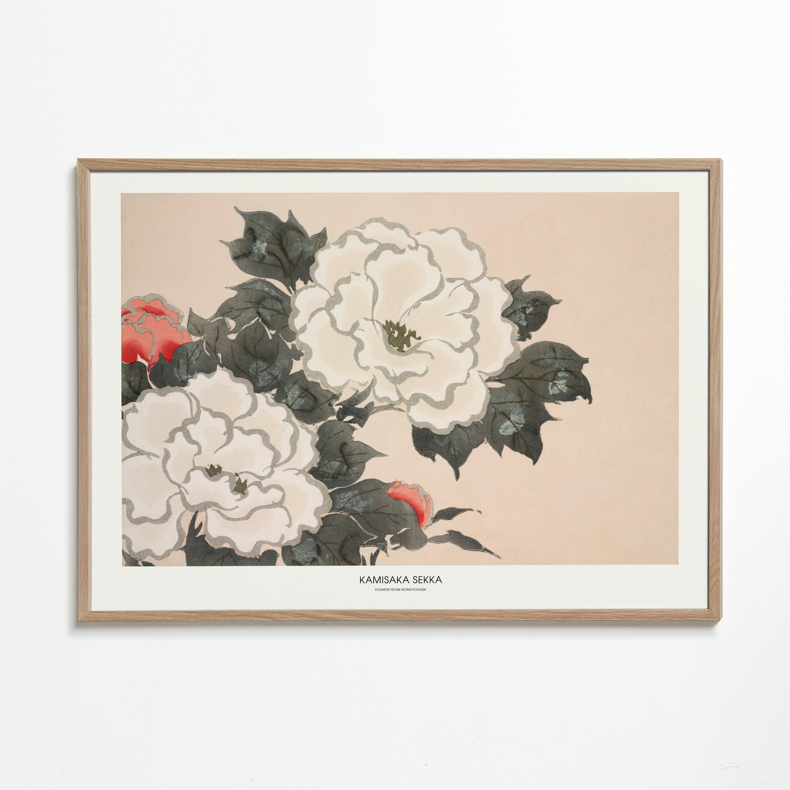 Botanisk plakat: japansk blomsterstudie