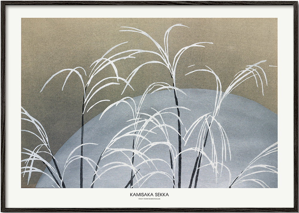 Botanisk plakat: hvide siv foran blå bakke