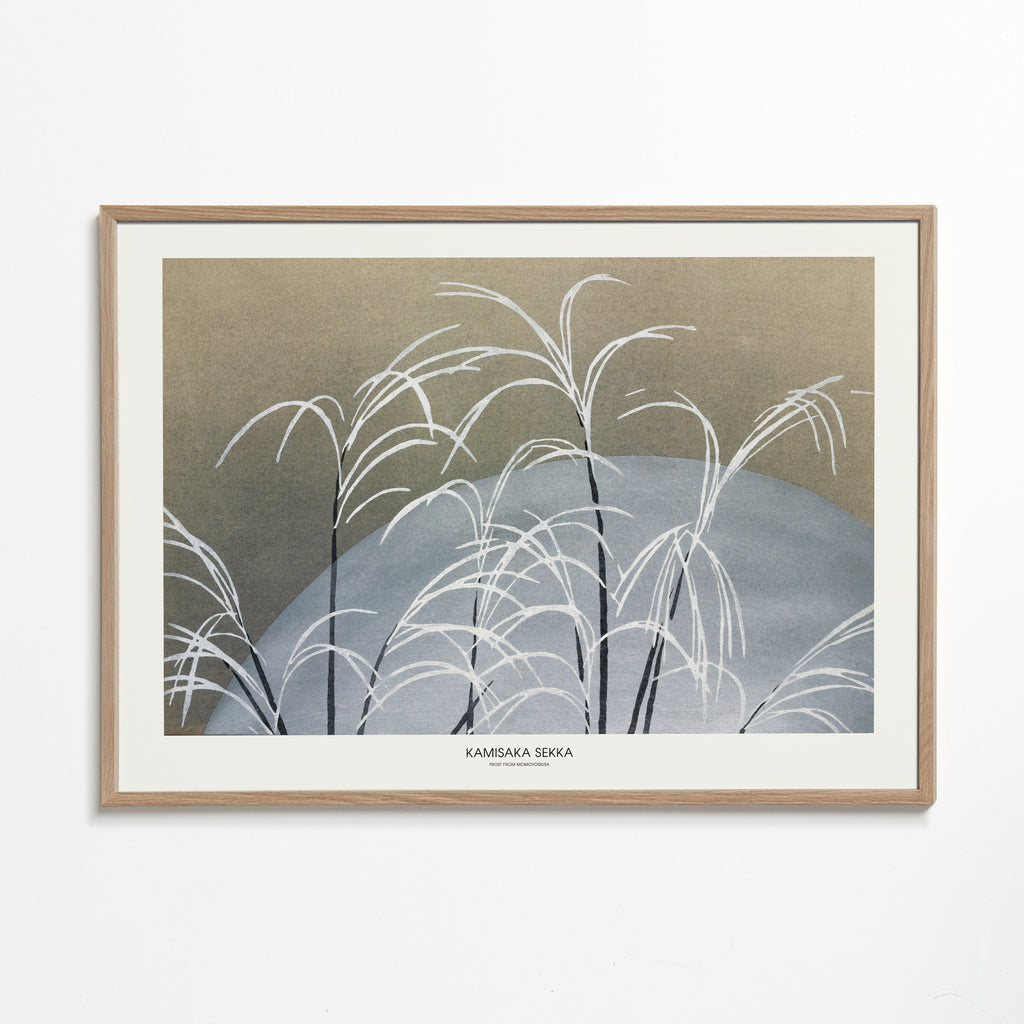 Botanisk plakat: hvide siv foran blå bakke