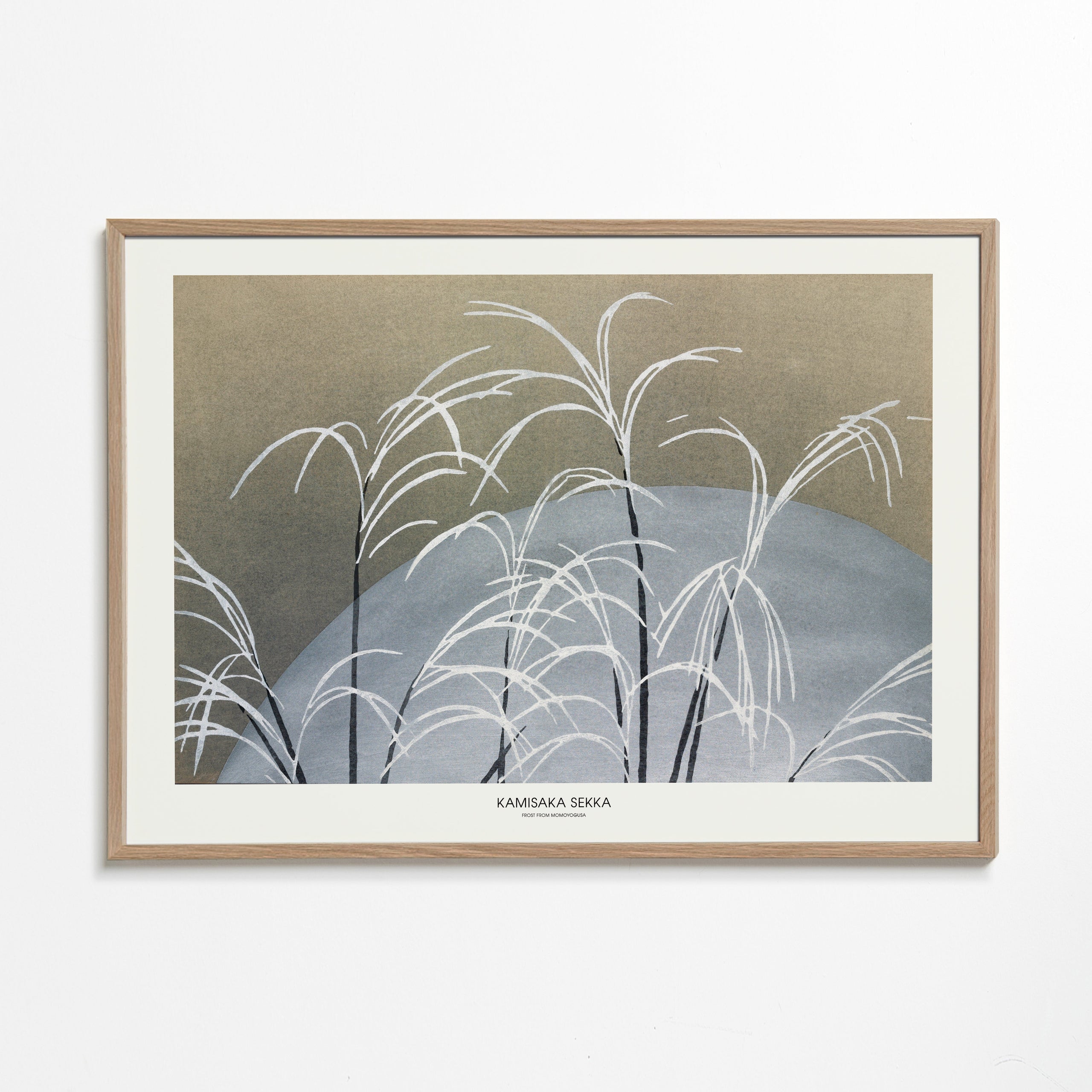 Botanisk plakat: hvide siv foran blå bakke
