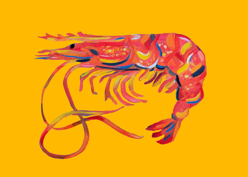 Køkkenkunst rejeillustration på gul