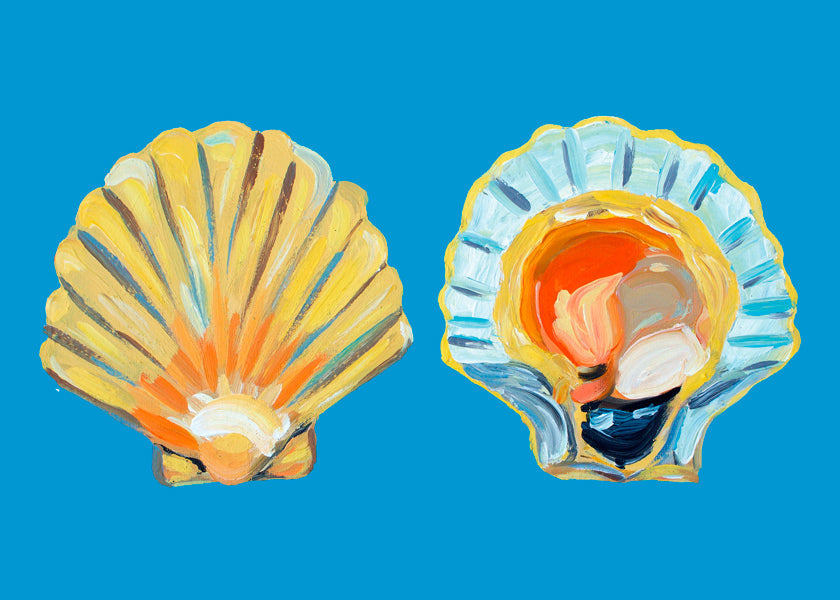 Illustration af muslinger på blå baggrund