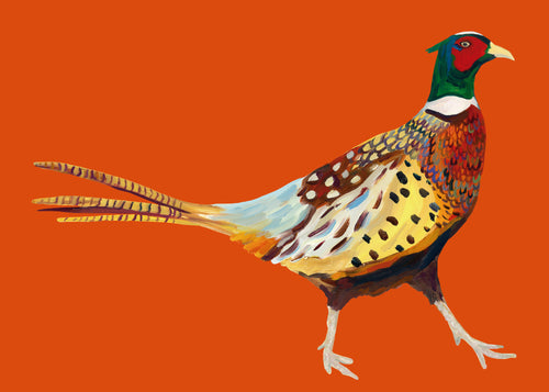 Strutting Pheasant On Orange - Unframed art print