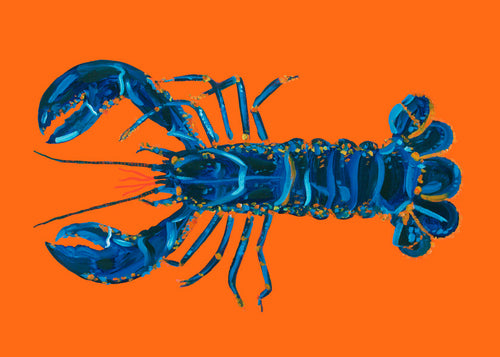 Køkkenkunst: blå hummmer på orange