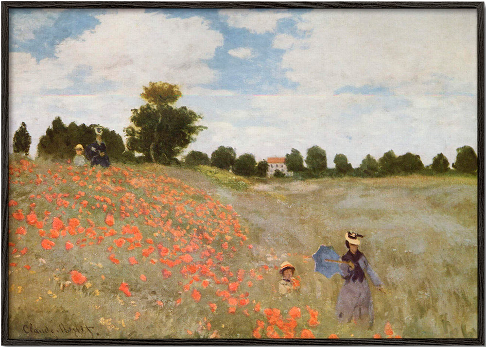 Botanisk plakat med valmuefelt