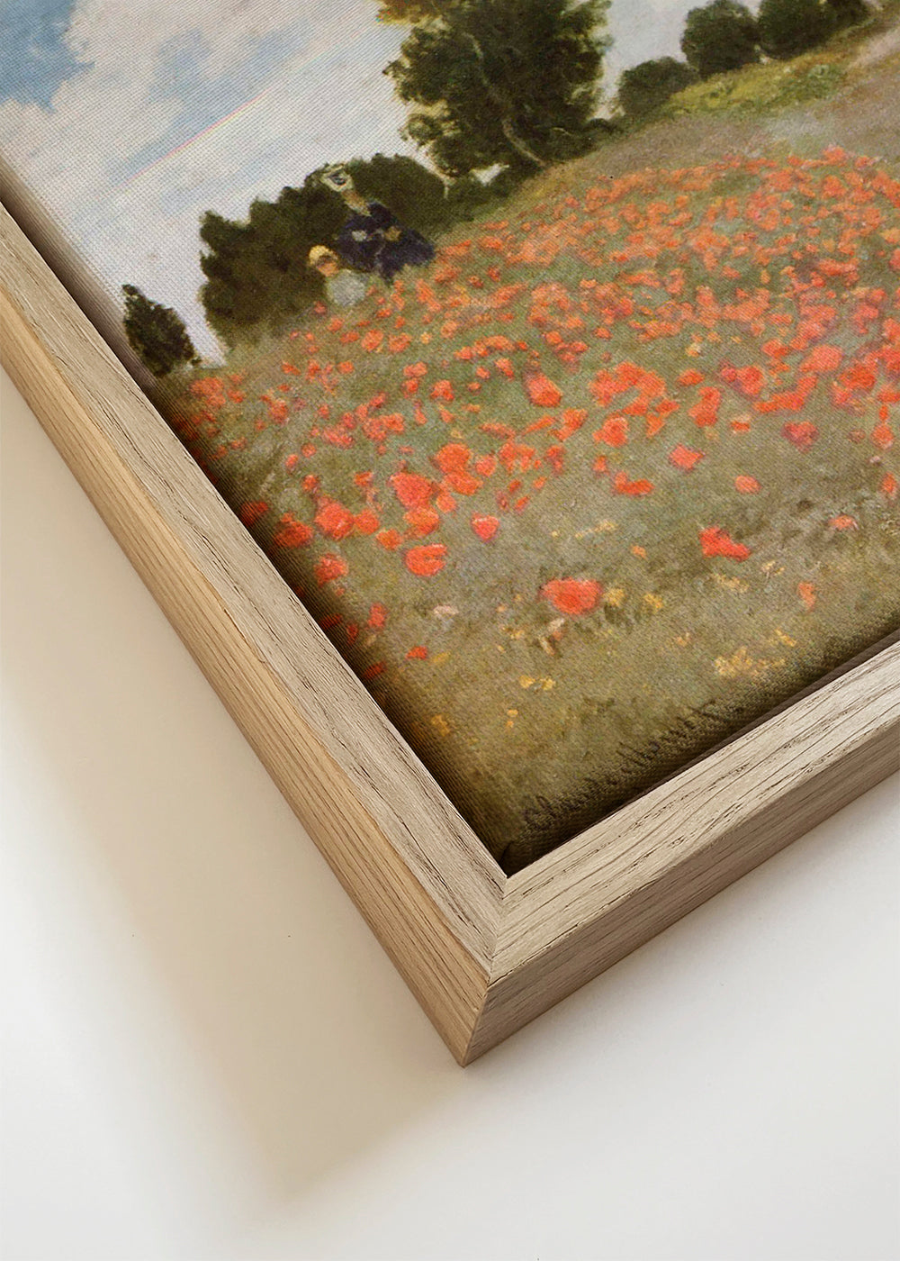 Botanisk plakat med valmuefelt
