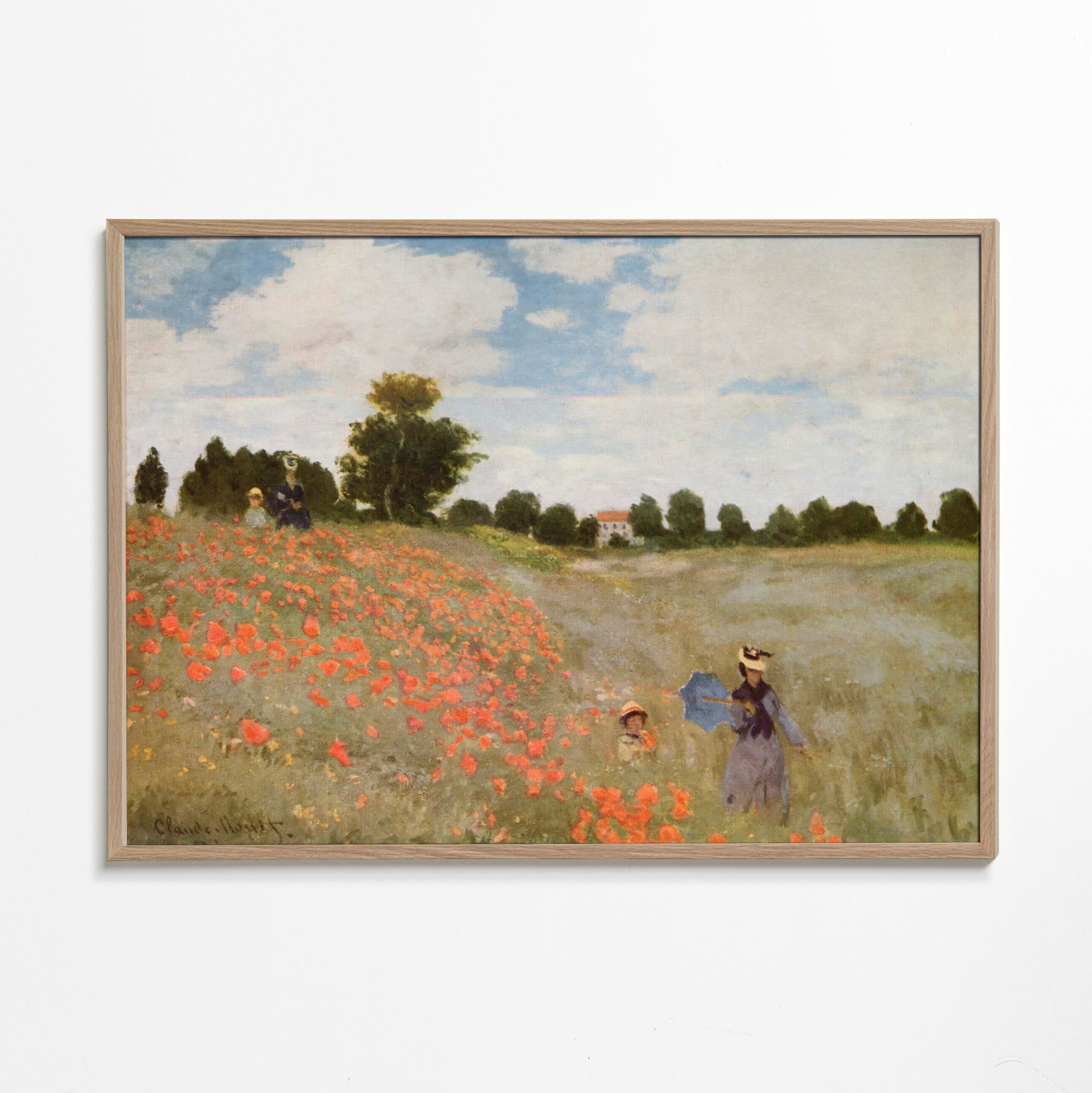 Botanisk plakat med valmuefelt
