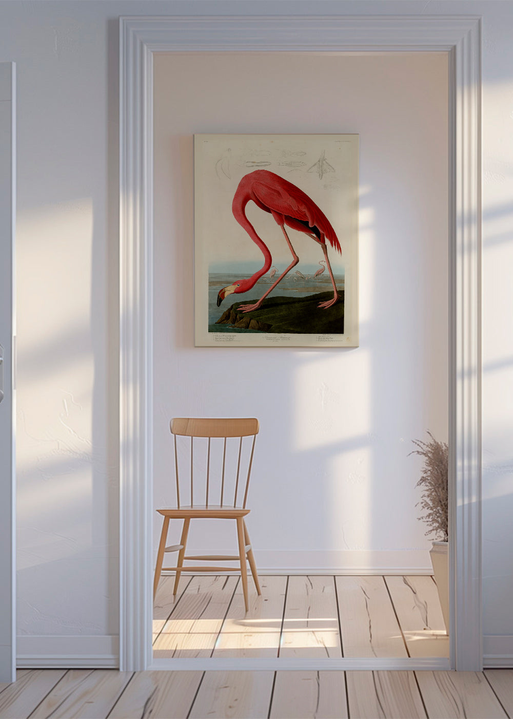 Kunstværk flamingo i Audubon-stil