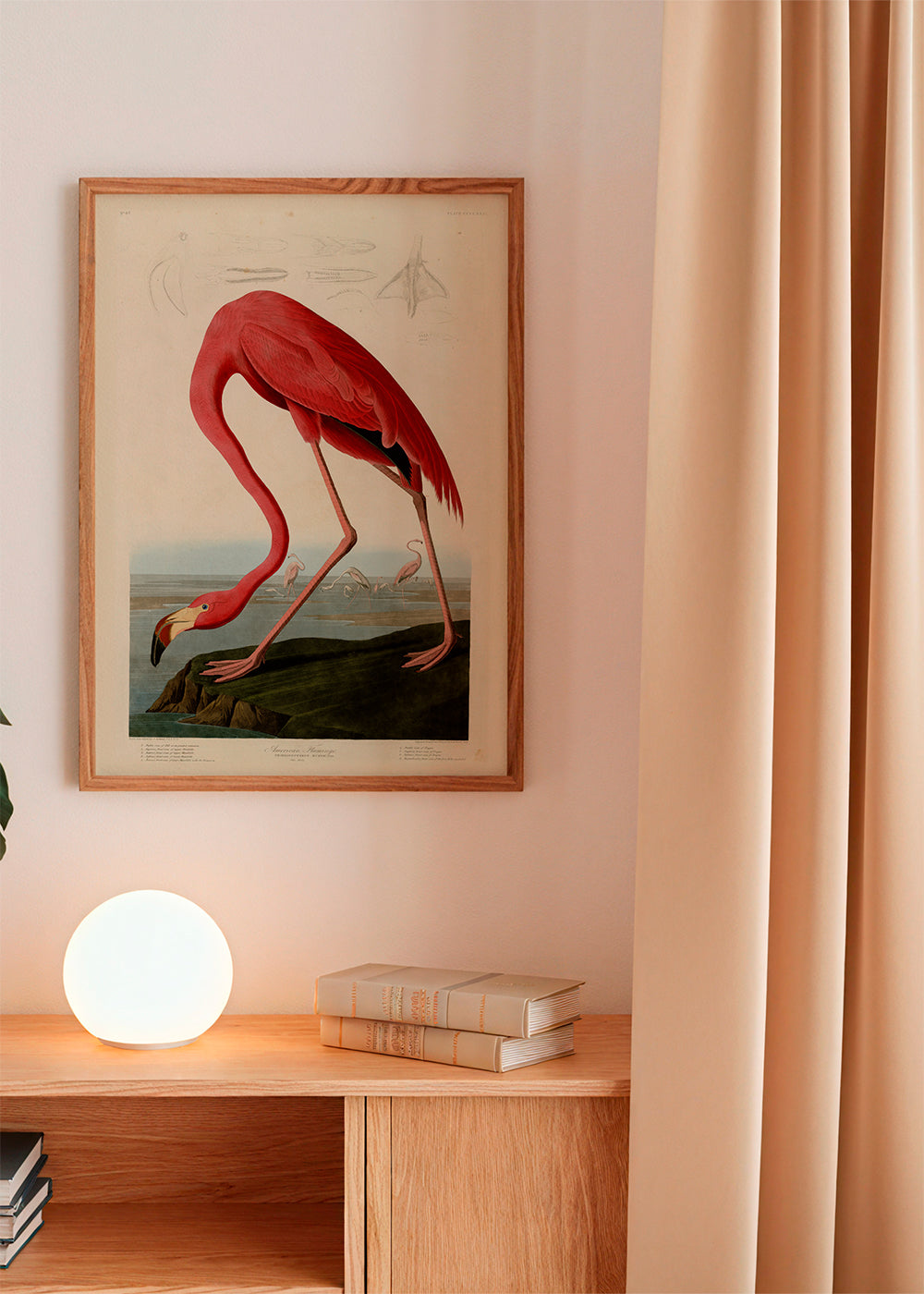 Kunstværk flamingo i Audubon-stil