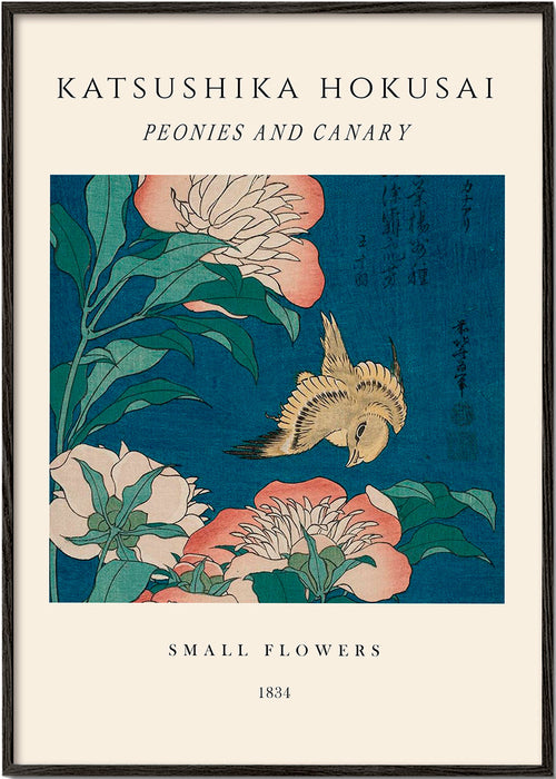Botanisk plakat med pæoner og kanariefugl