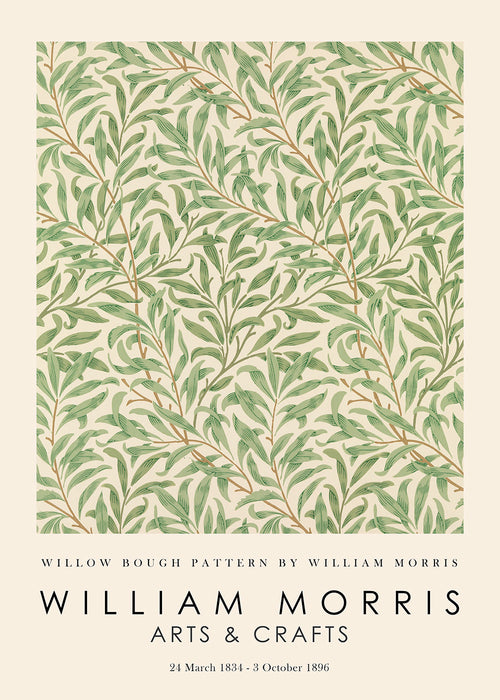 Botanisk plakat Willow grene i Morris-stil