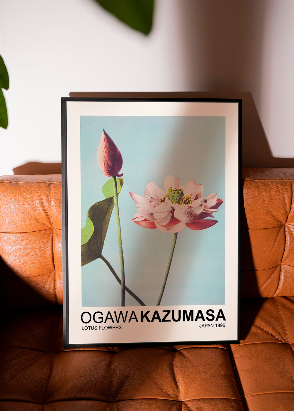 Botanisk plakat: lyserød lotus mod blå himmel