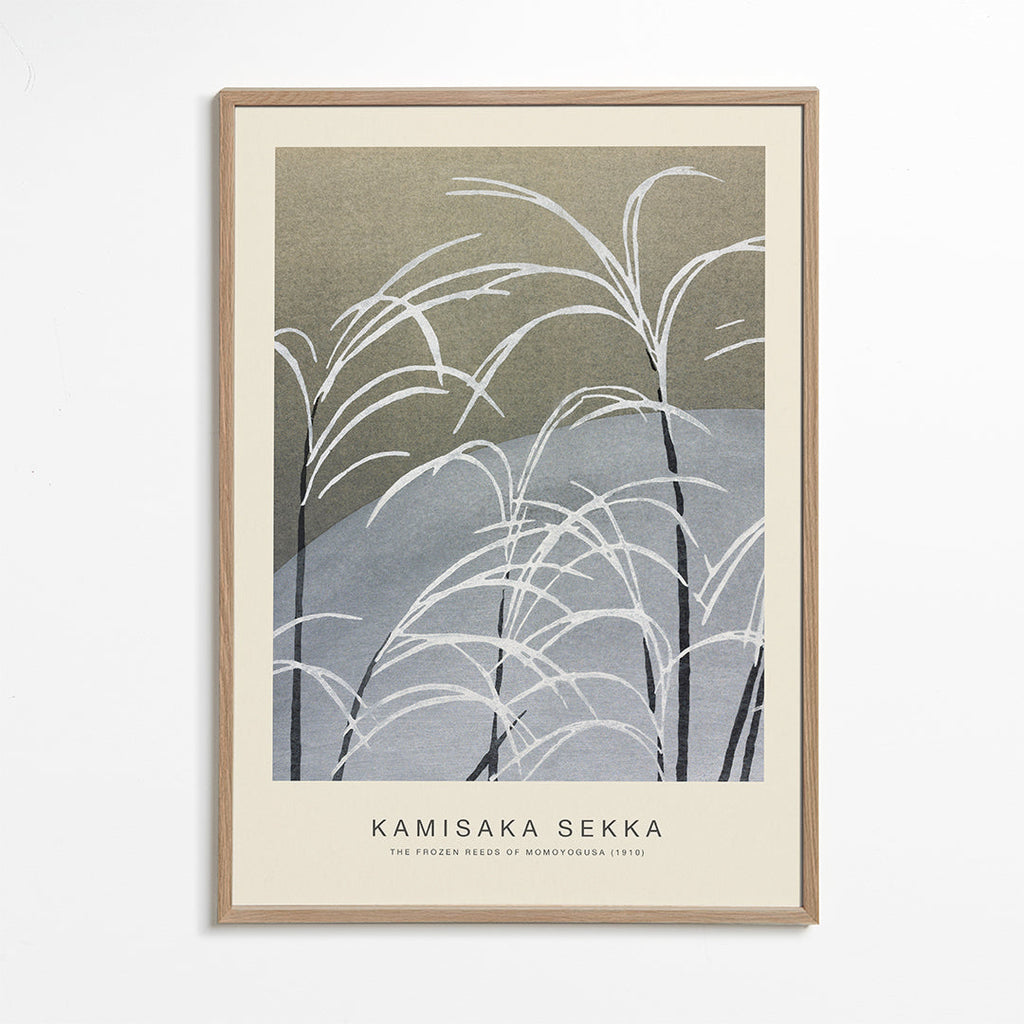 Botanisk plakat: studie af frosne siv