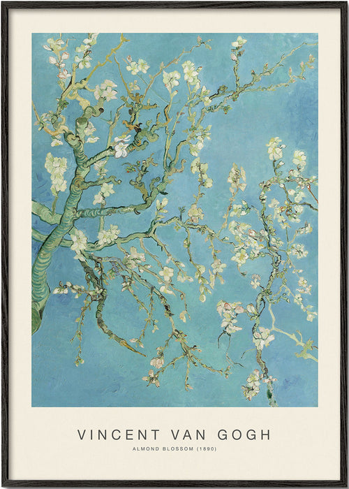 Botanisk plakat Mandelblomster over blå himmel