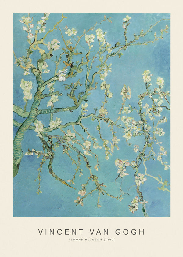 Botanisk plakat Mandelblomster over blå himmel