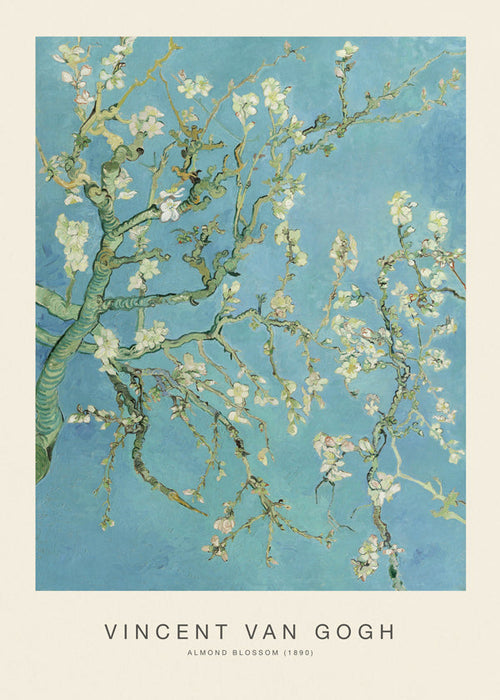 Botanisk plakat Mandelblomster over blå himmel