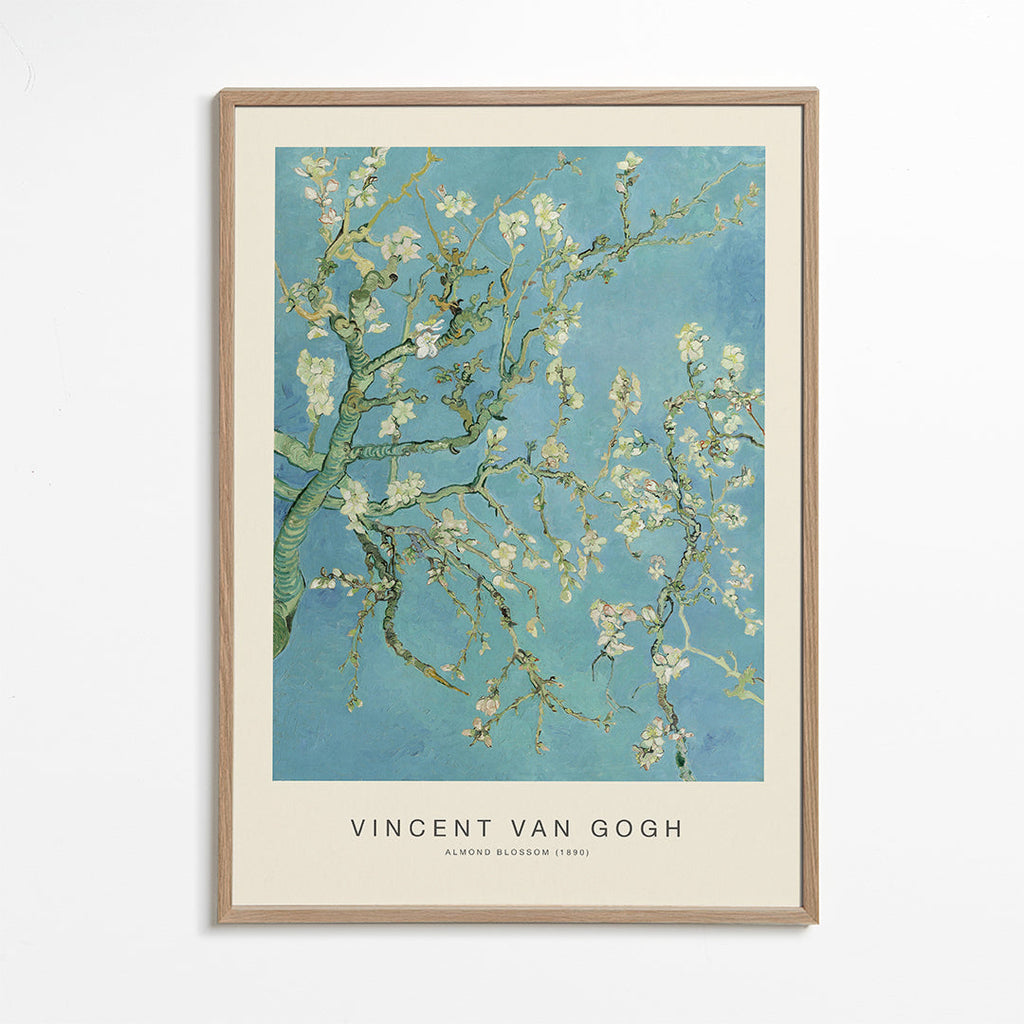 Botanisk plakat Mandelblomster over blå himmel