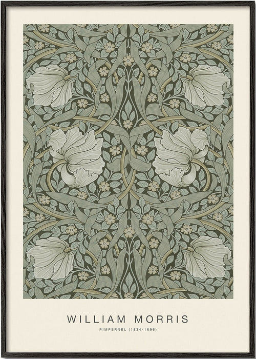 Botanisk plakat Pimpernel William Morris