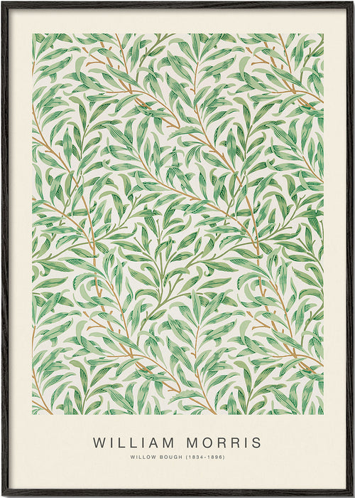 Botanisk plakat Willow Bough blade