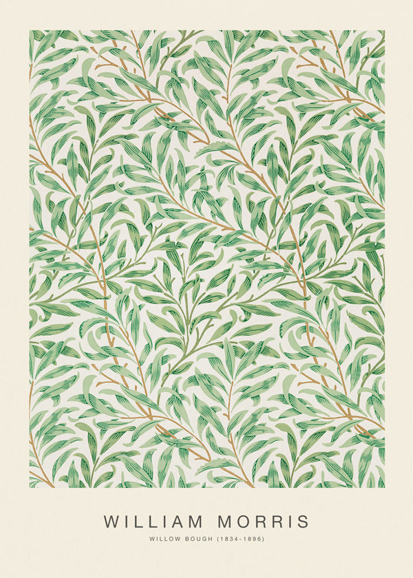 Botanisk plakat Willow Bough blade