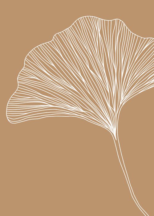 Botanisk plakat med ginkgo-blad