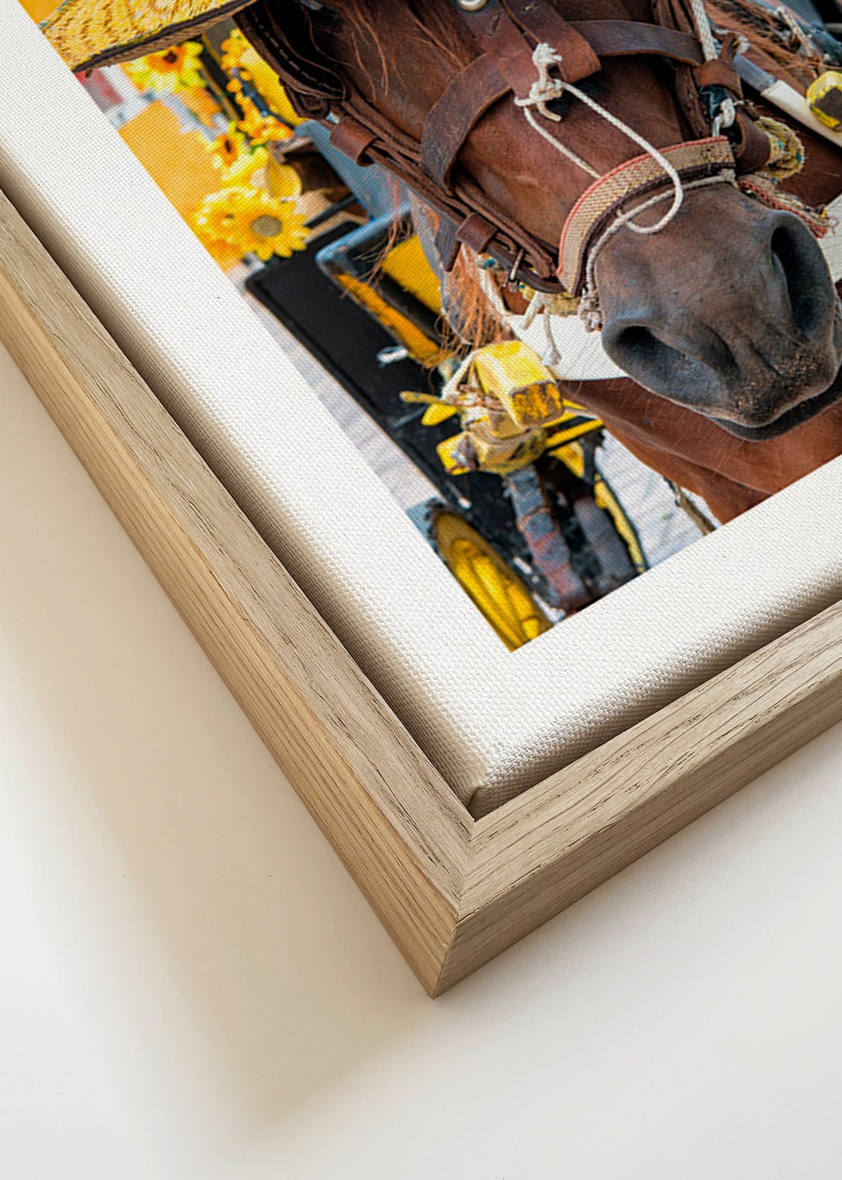 Hest med gul hat – Canvas detail