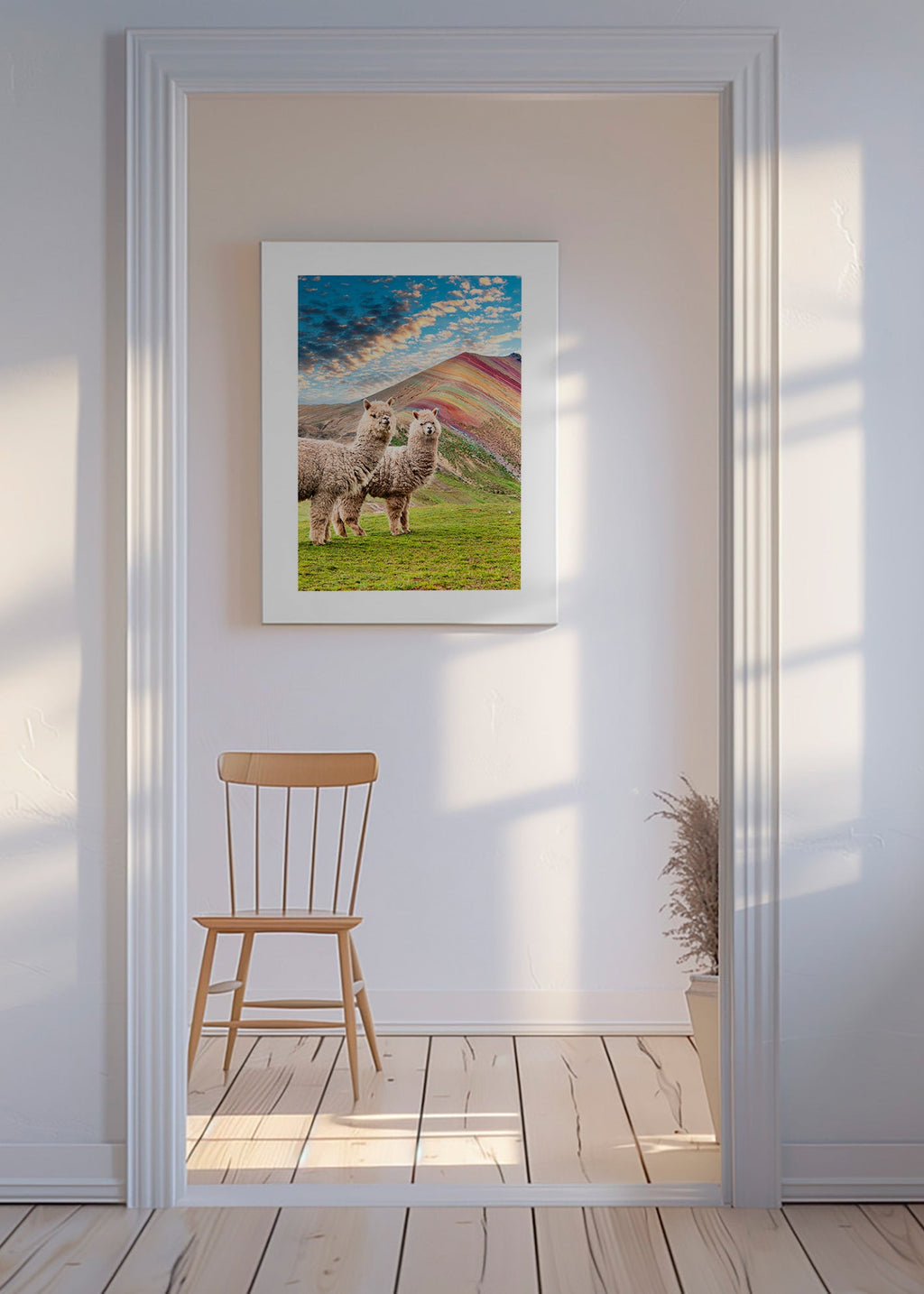 Kunstværk alpaka ved regnbjebjerget – Canvas