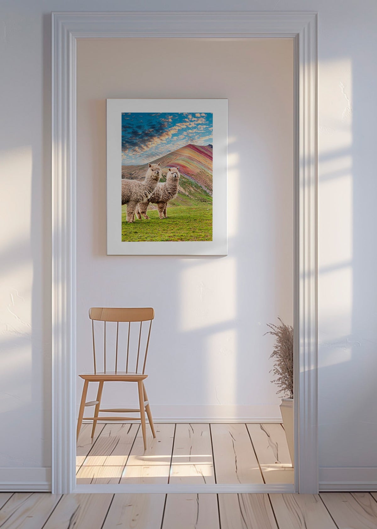 Kunstværk alpaka ved regnbjebjerget – Canvas
