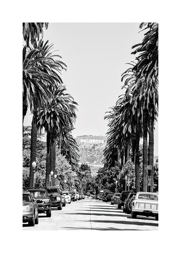 Rejseplakat Hollywood palmegade i sort-hvid