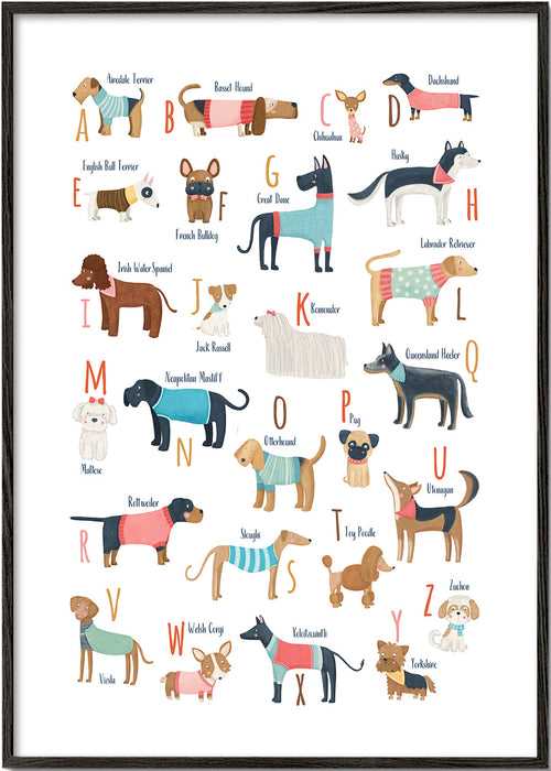 Illustration alfabet med hunde
