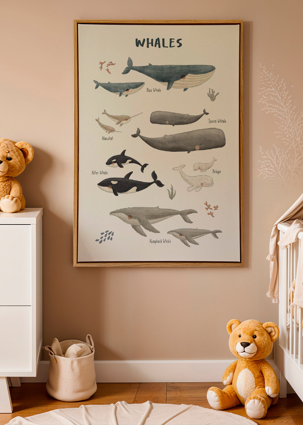 Plakat Hvaler illustreret og lærerig