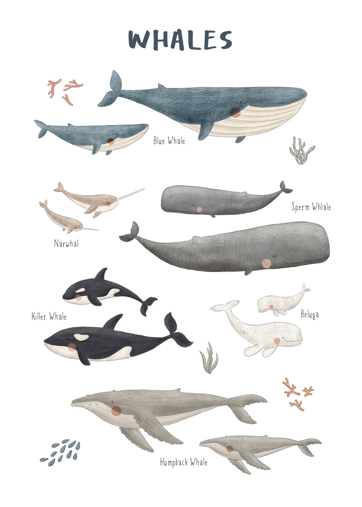 Ballenas fondo blanco (inglés) - Unframed art print