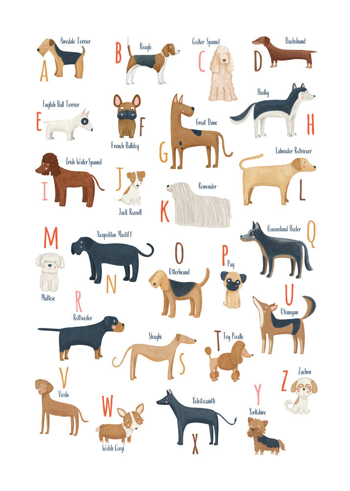 Børneplakat Hundebogstaver illustreret
