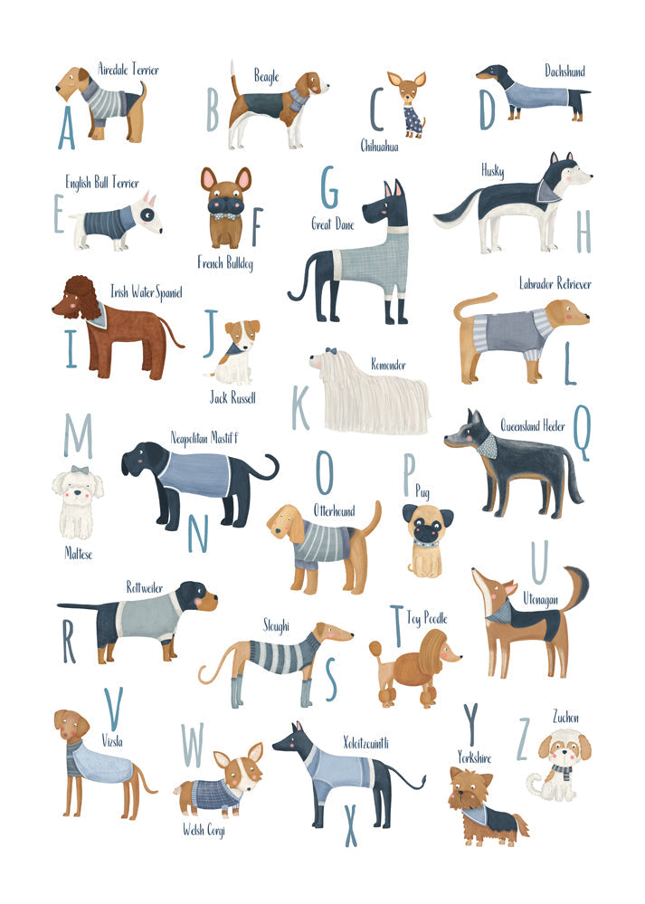 Børneplakat: alfabet med hunde i blåt