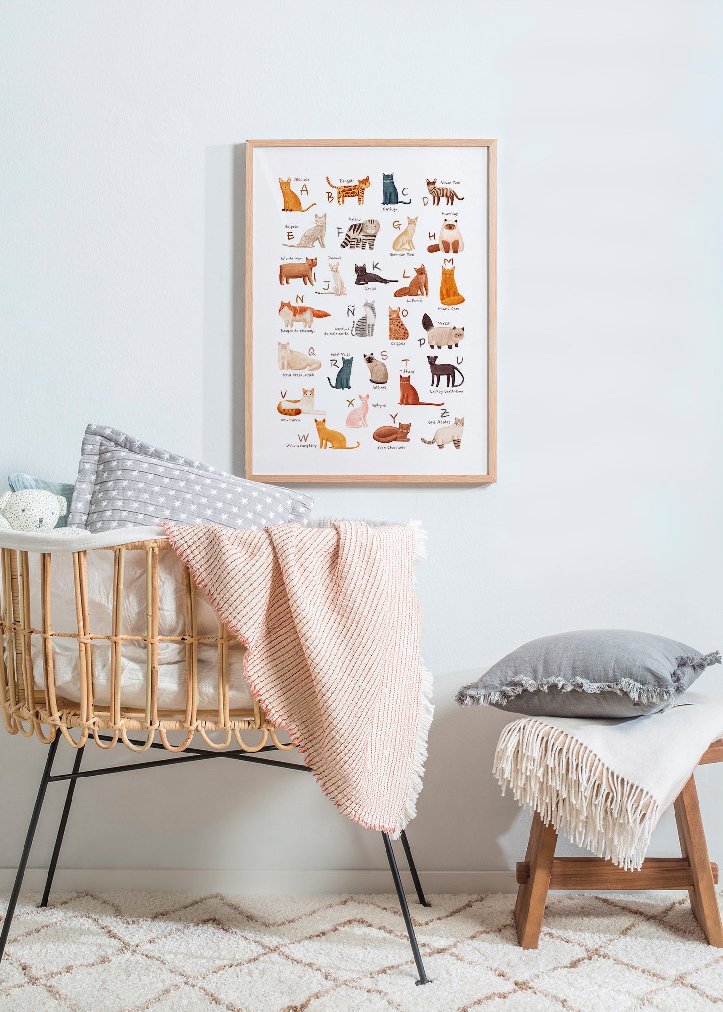 Børneplakat Illustreret kattealfabet