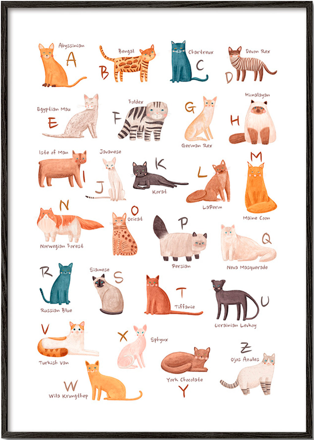 Børneplakat: katte-alfabet illustration