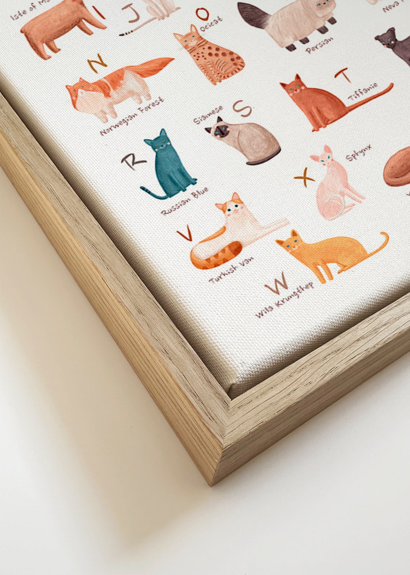 Børneplakat: katte-alfabet illustration