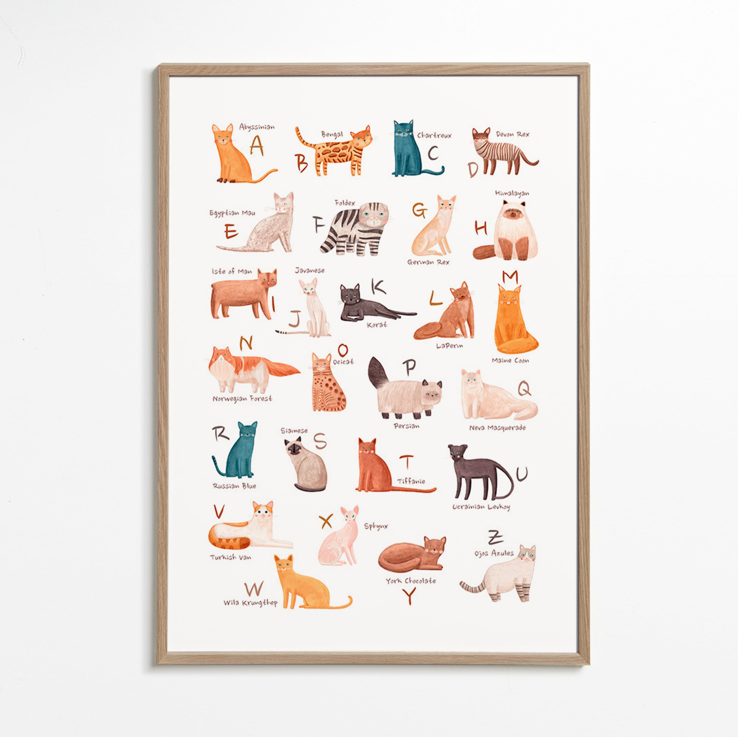 Børneplakat: katte-alfabet illustration