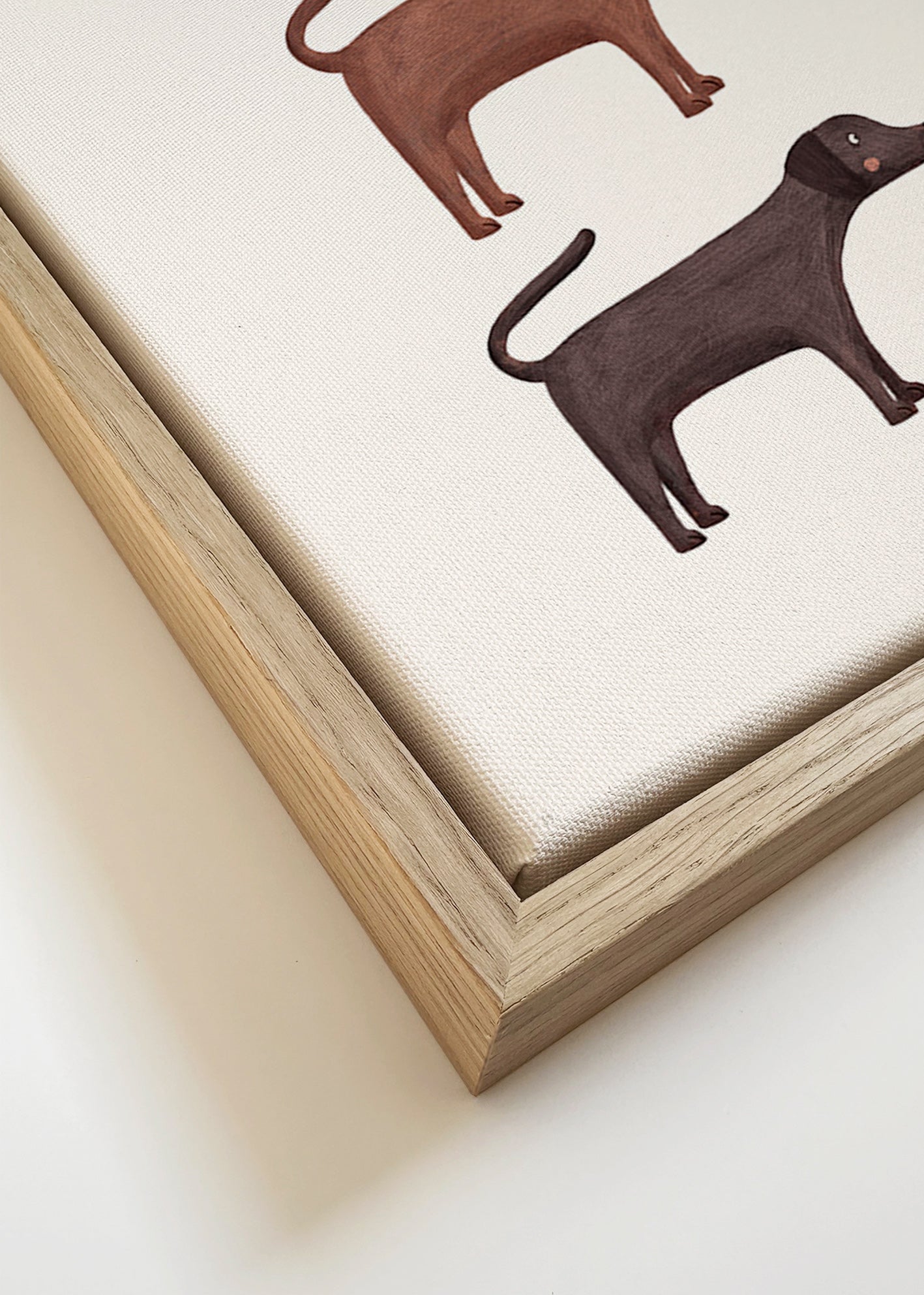 Plakat tre labradorer minimalistisk