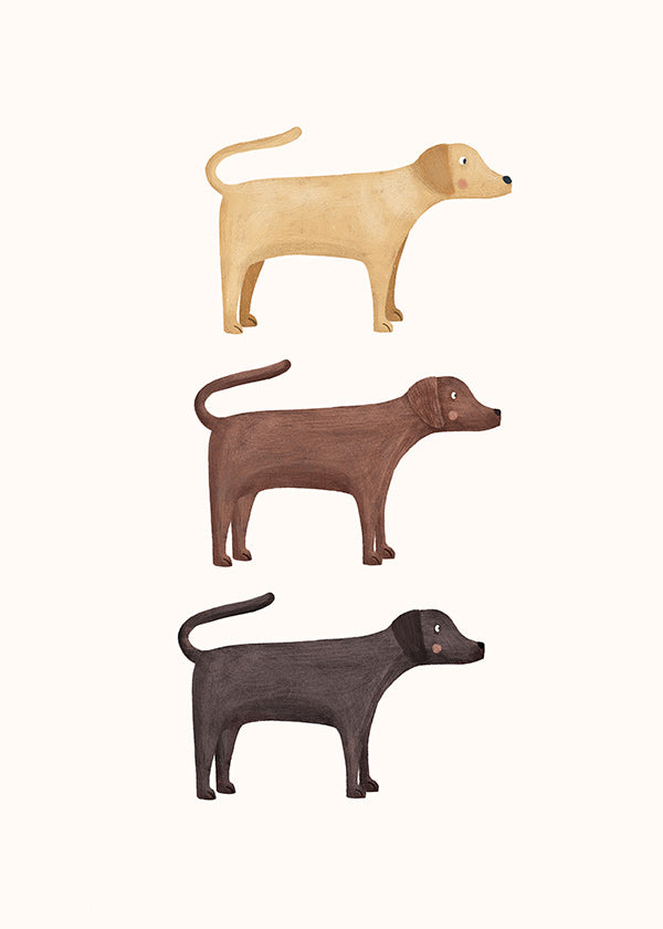 Plakat tre labradorer minimalistisk
