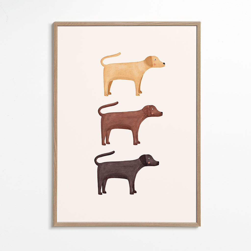Plakat tre labradorer minimalistisk
