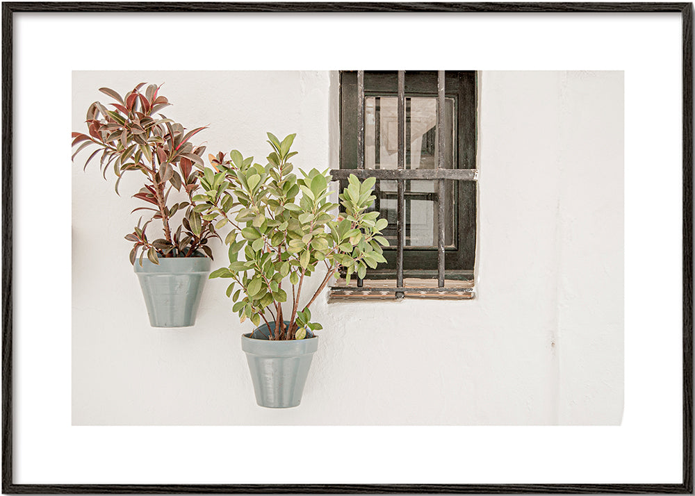Botanisk plakat: potteplanter ved vindue