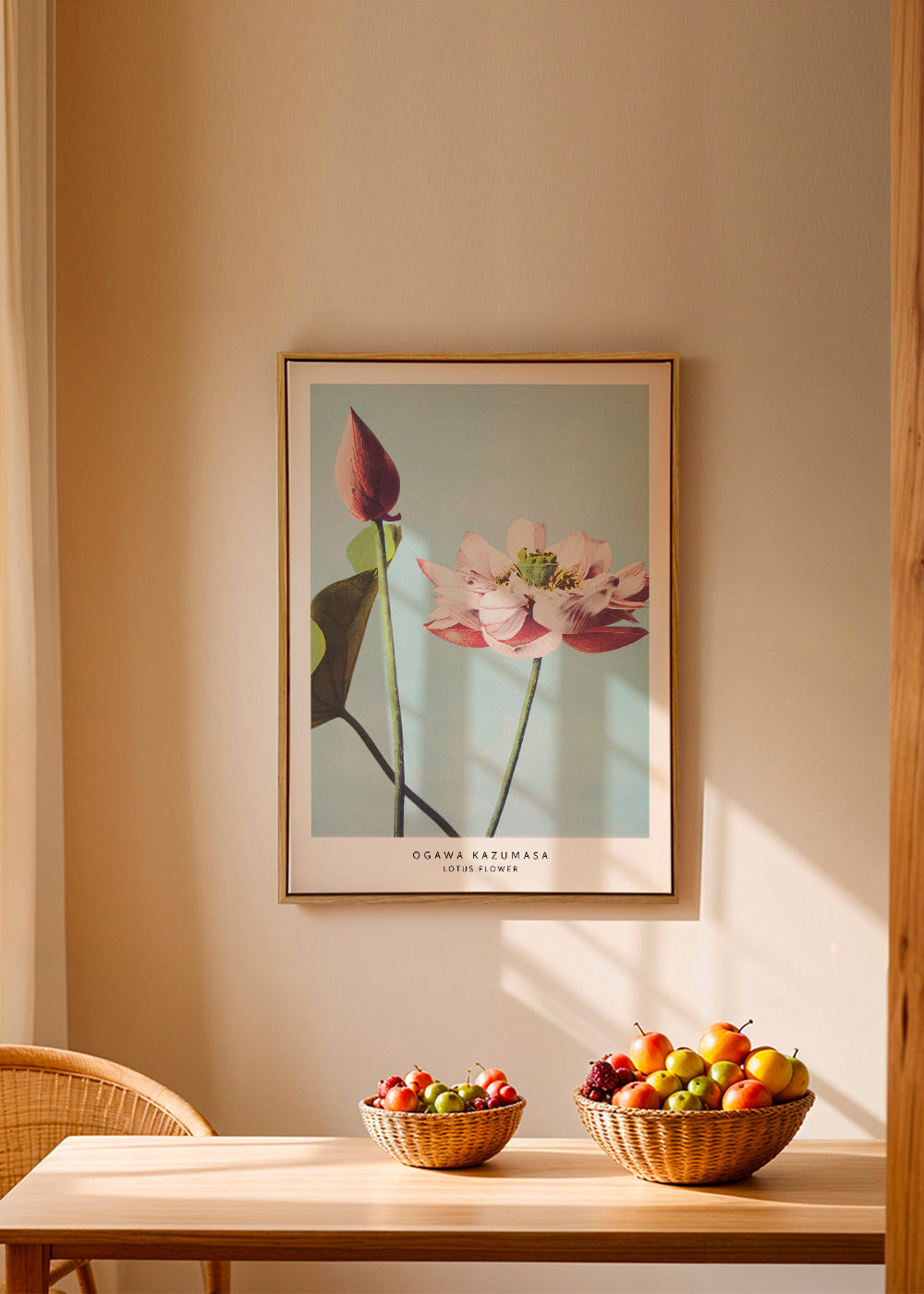 Botanisk plakat lotusblomst på blå baggrund