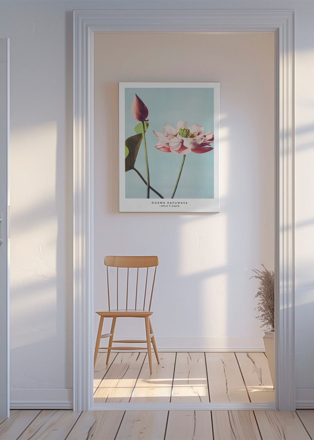 Botanisk plakat lotusblomst på blå baggrund