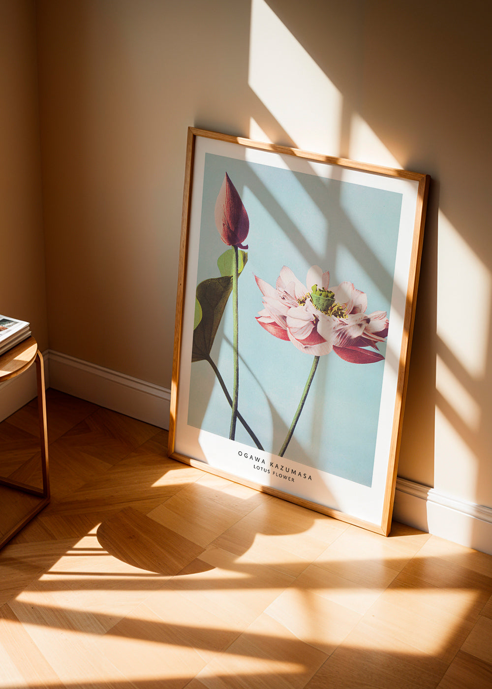 Botanisk plakat lotusblomst på blå baggrund