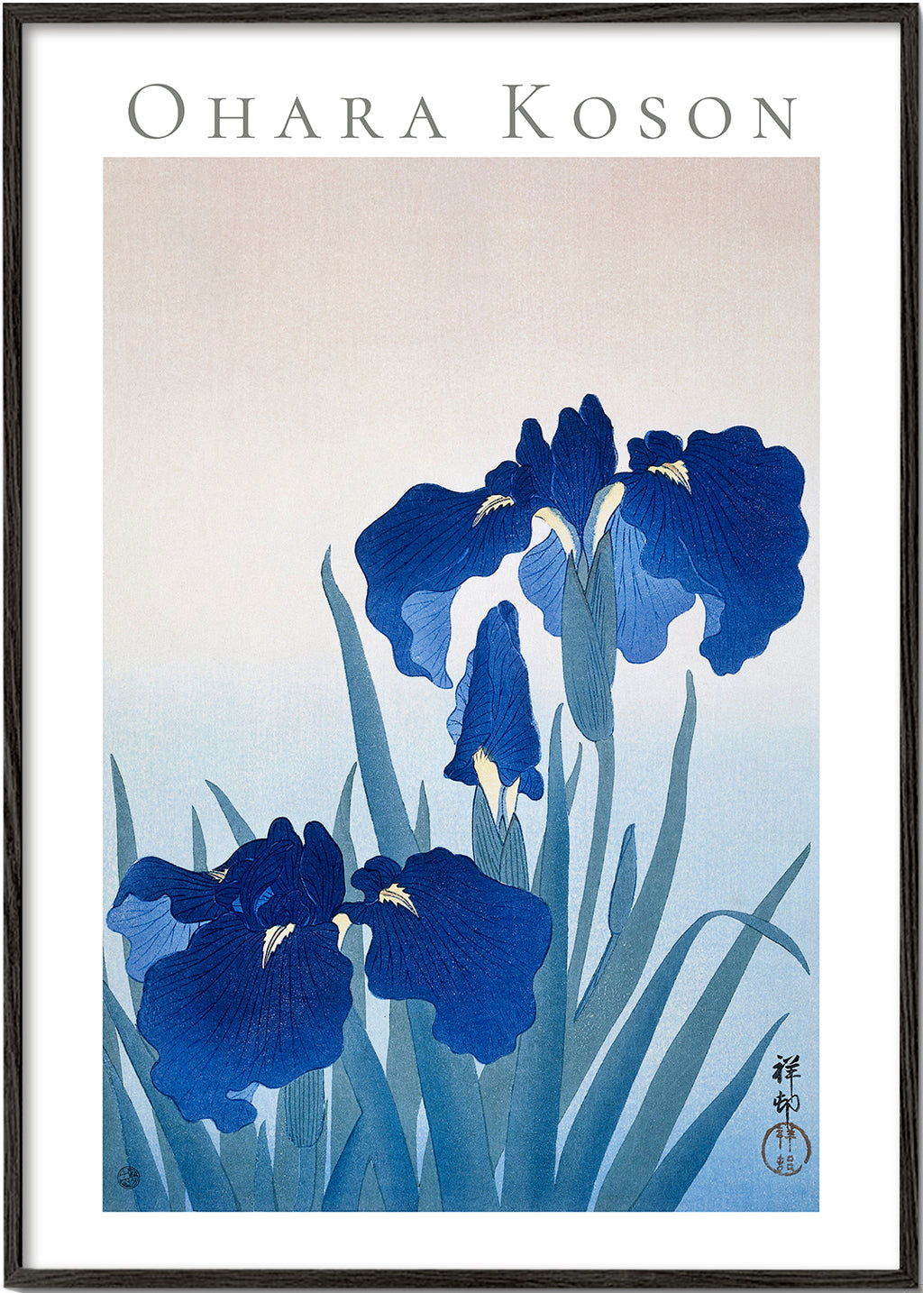 Botanisk plakat blå iris
