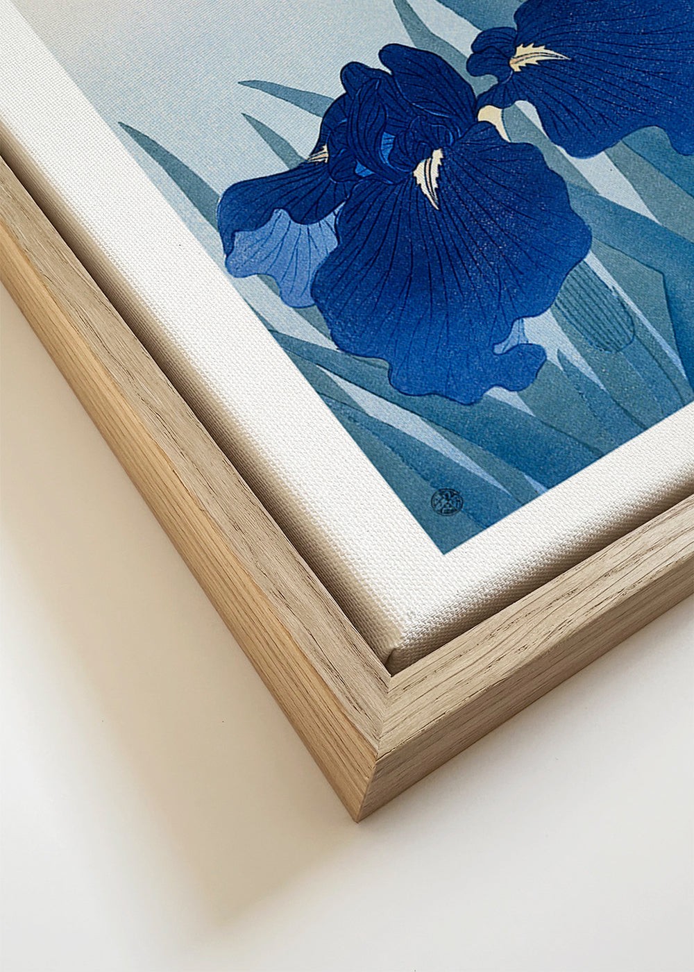 Botanisk plakat blå iris