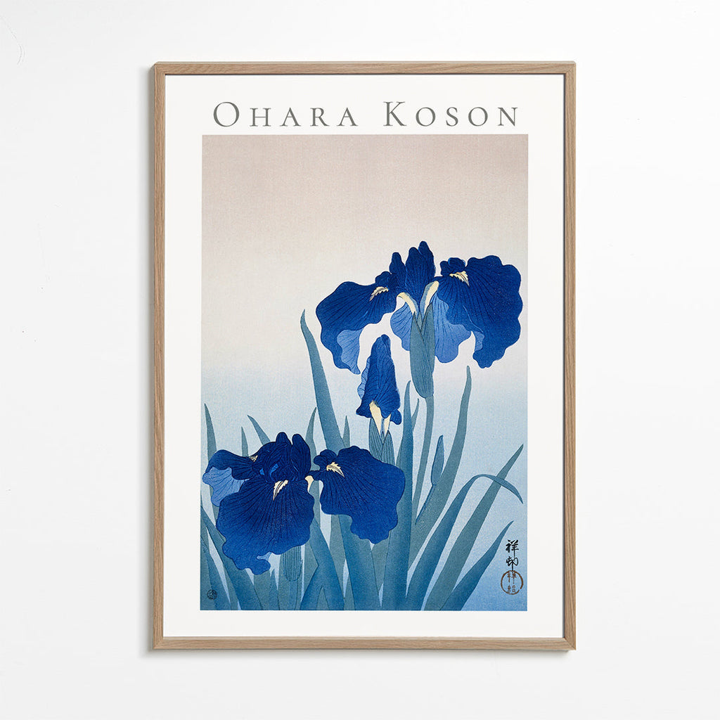 Botanisk plakat blå iris