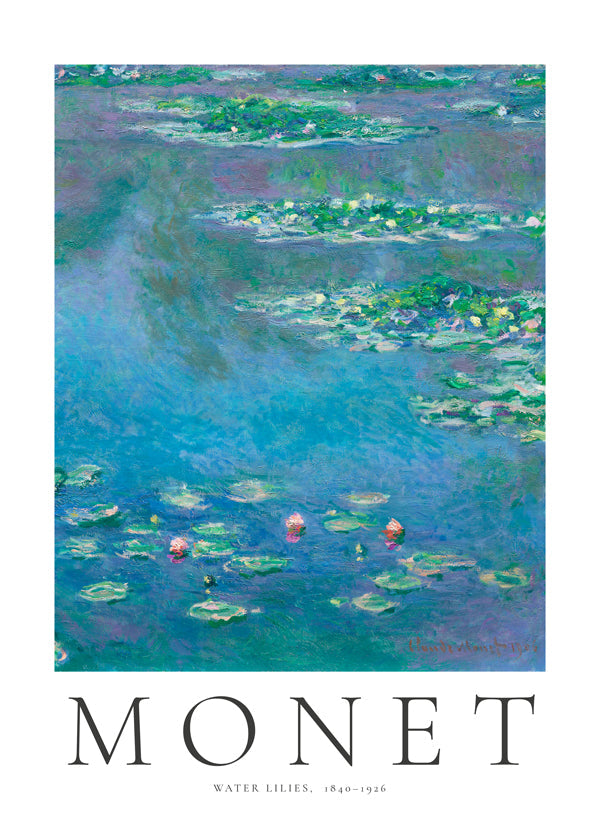 Botanisk plakat: Vandliljer i blå-grøn