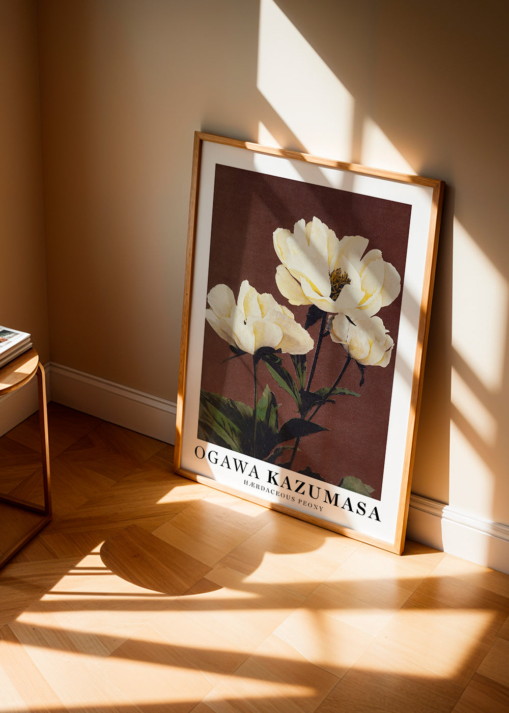 Botanisk plakat med hvid peon